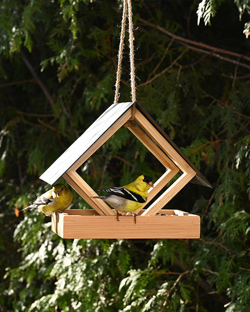 Bamboo Terrace Bird Feeder