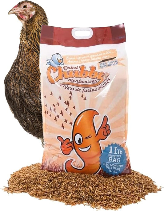Chubby Mealworms - Dried - 11lbs