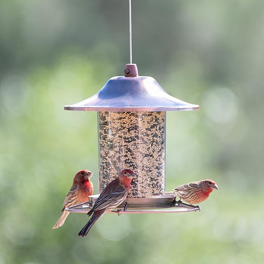 Perky Pet Copper Panorama Wild Bird Feeder