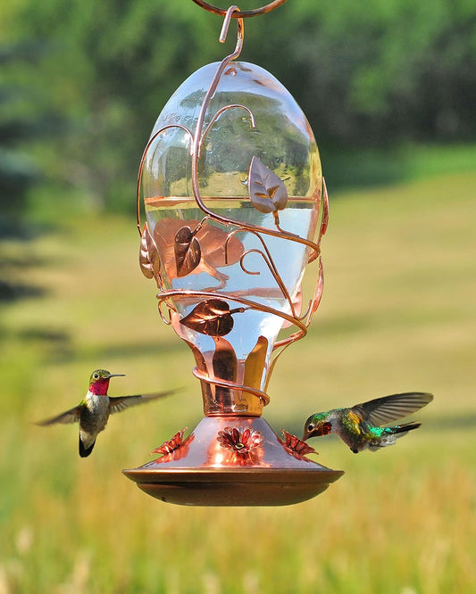 Perky-Pet Looking Glass Hummingbird Feeder - 32 oz