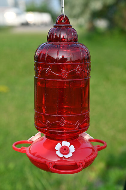 Antique Bird Cage Style Glass Hummingbird Feeder