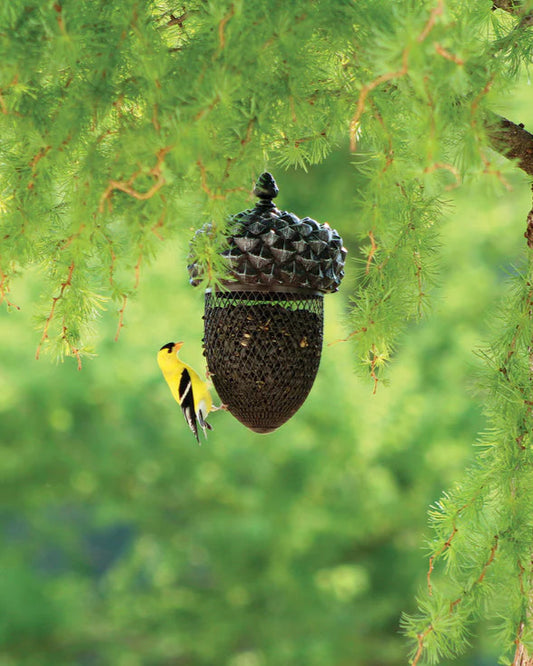 Acorn Shape Mesh Feeder
