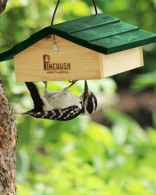 Upside Down Suet Cake Feeder