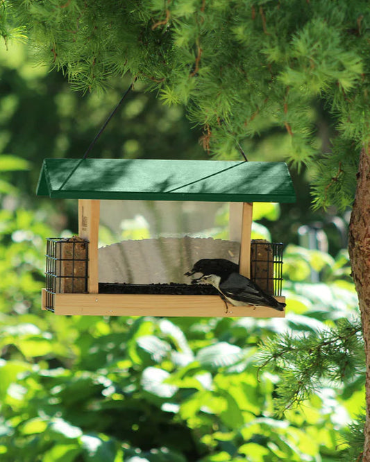 Hopper Feeder with Suet Cage