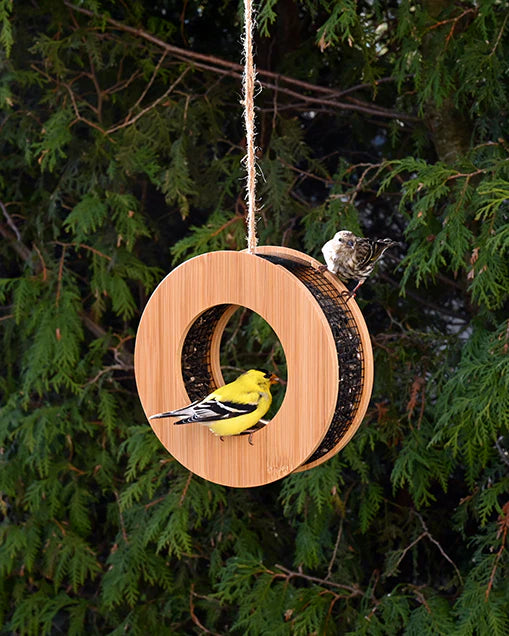 Bamboo Loop Bird Feeder