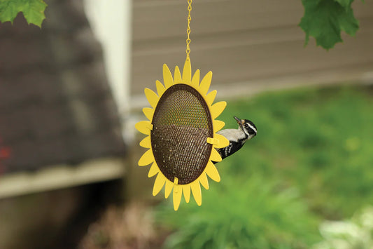 Shelled Sunflower Feeder