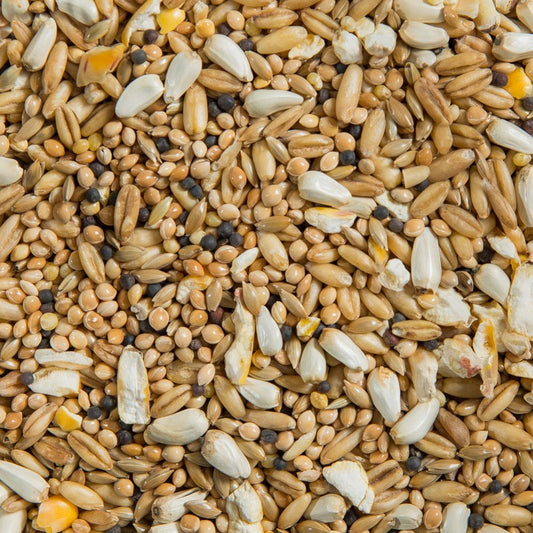 No-Sun Cockatiel Mixture