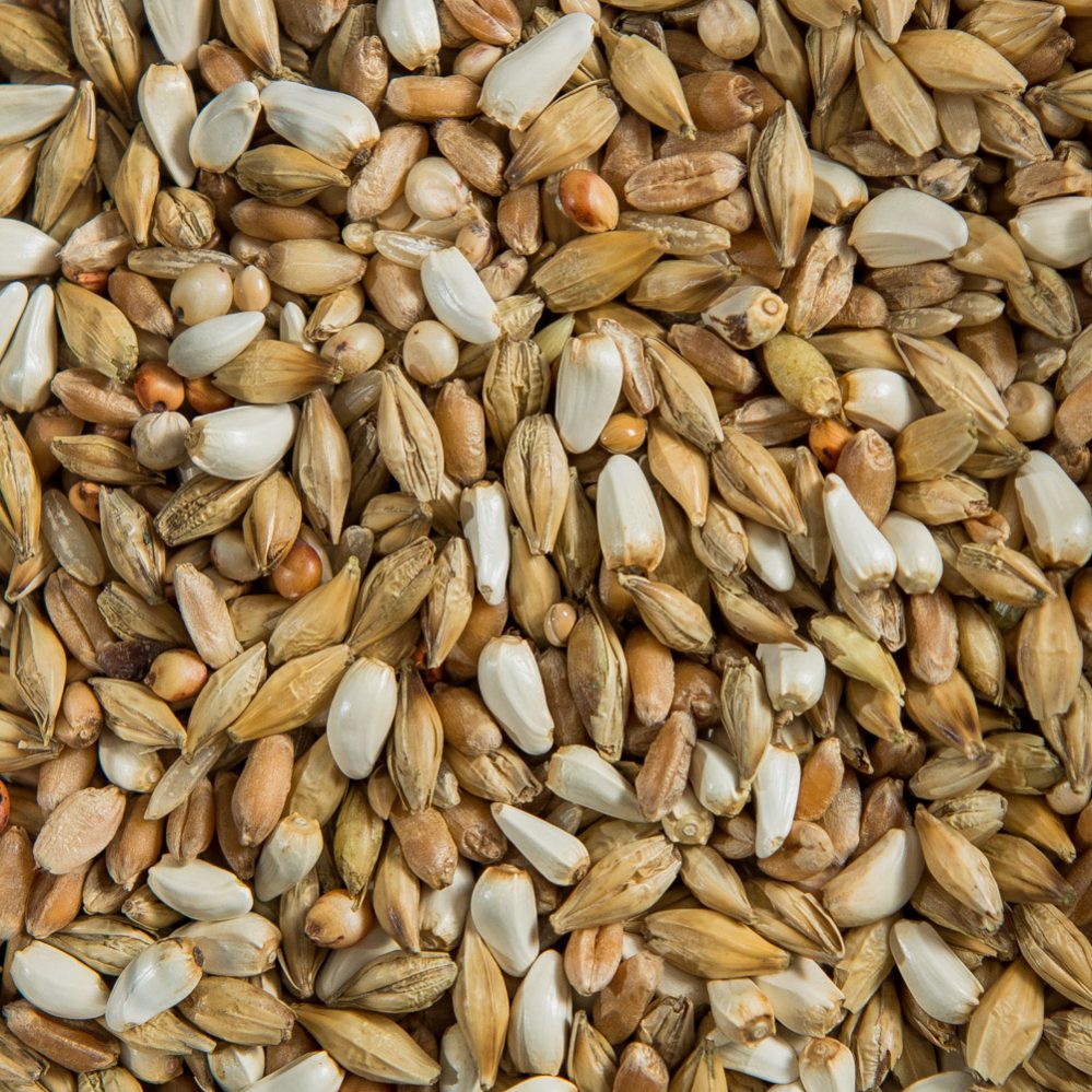 Depurative / Diet Mixture