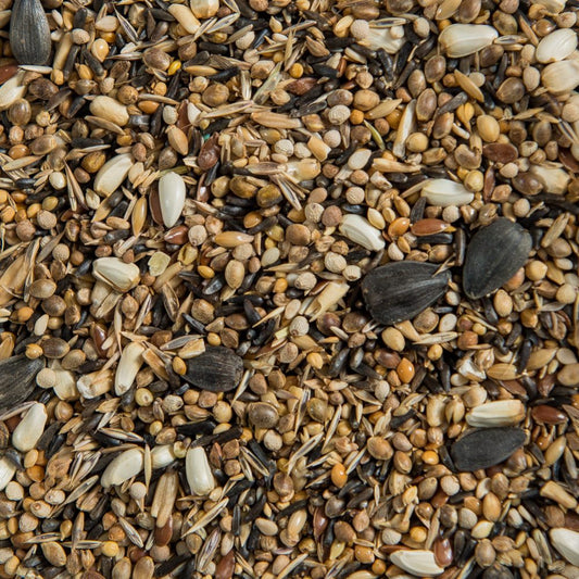 Euro Gold Finch Mixture