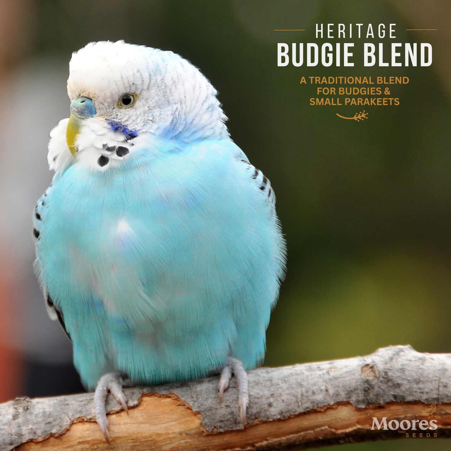 Heritage Budgie Mixture