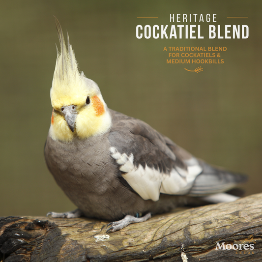Heritage Cockatiel Mixture