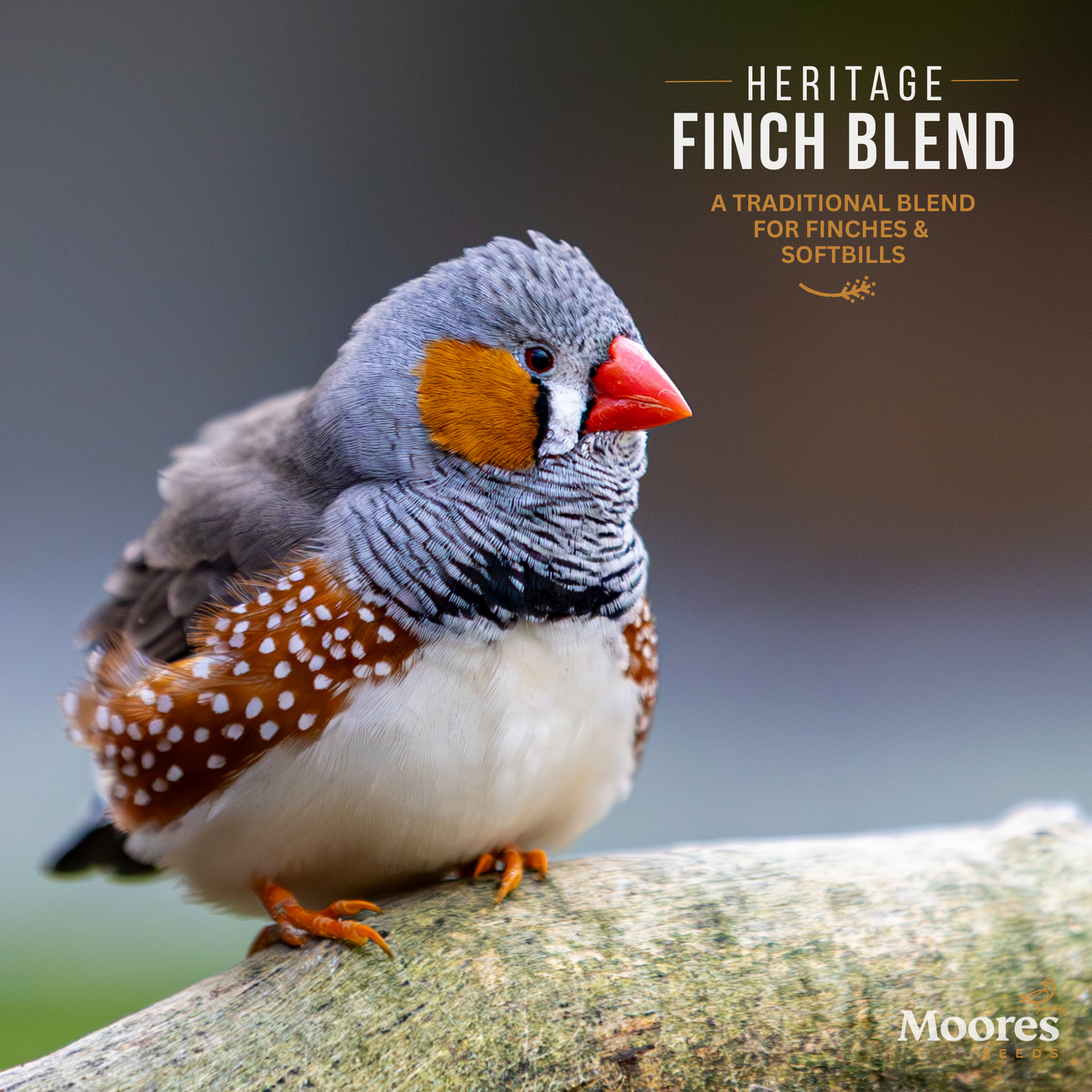 Heritage Finch Mixture