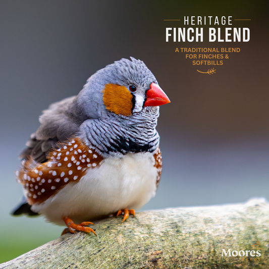 Heritage Finch Mixture