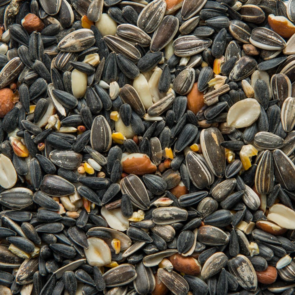 Jay/ Cardinal Outdoor Mixture