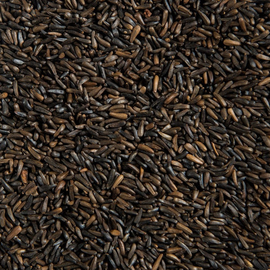 Nyjer Seed