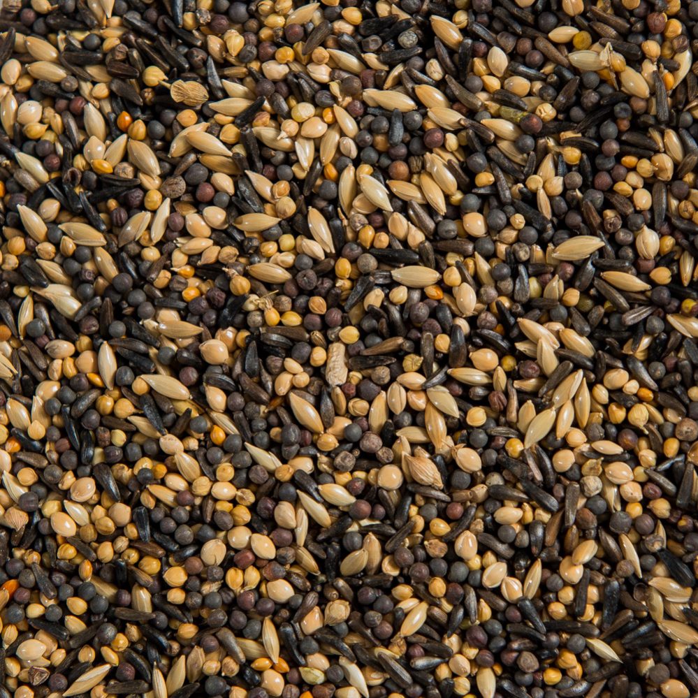 Outdoor Finch Mixture