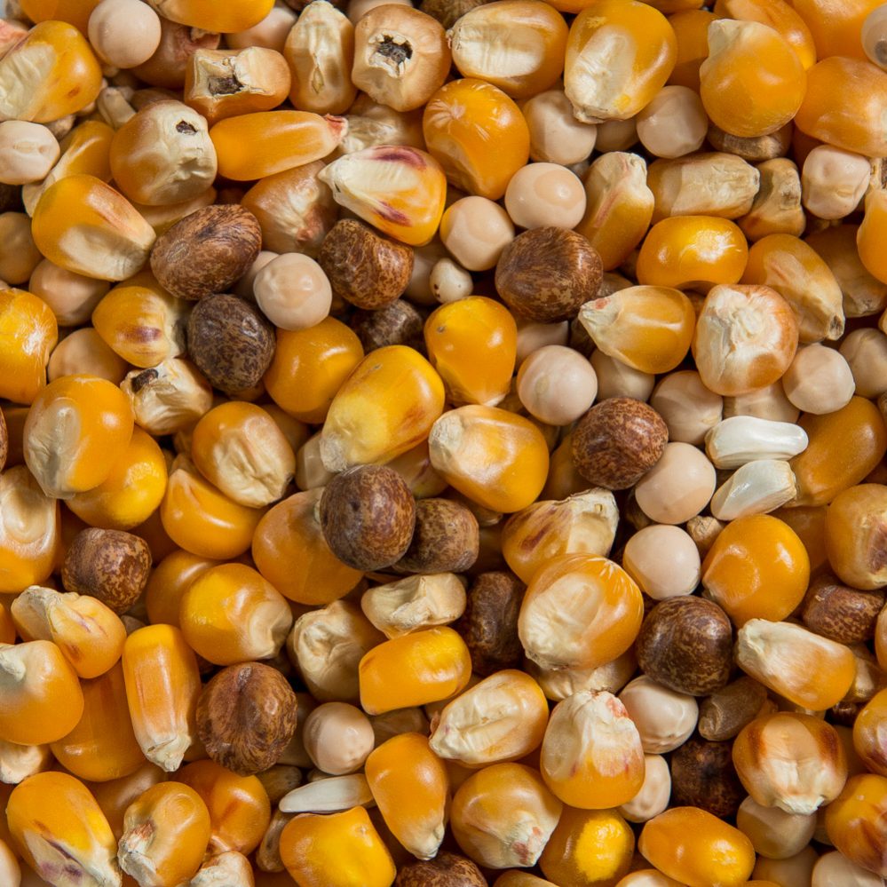 Double X Racing Mixture