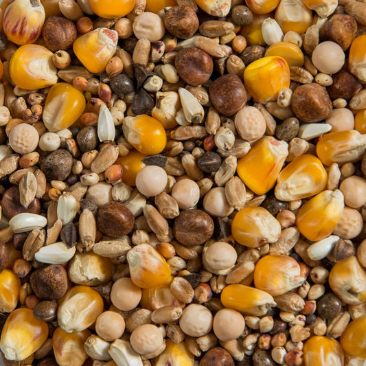 Triple X Racing Mixture