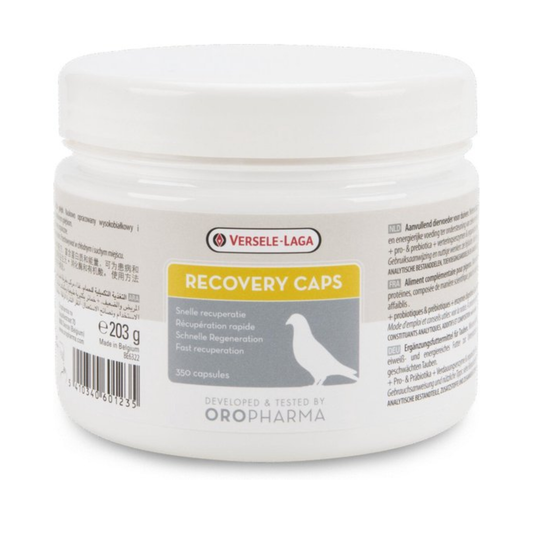Versele-Laga Recovery Caps