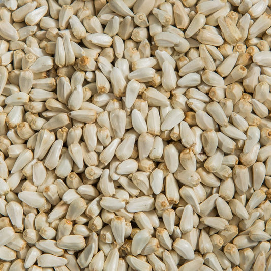 Safflower Seed
