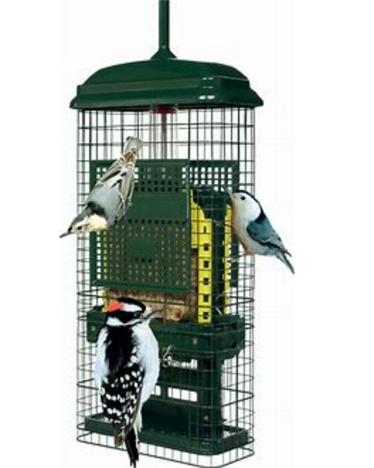 Squirrel Buster® Suet