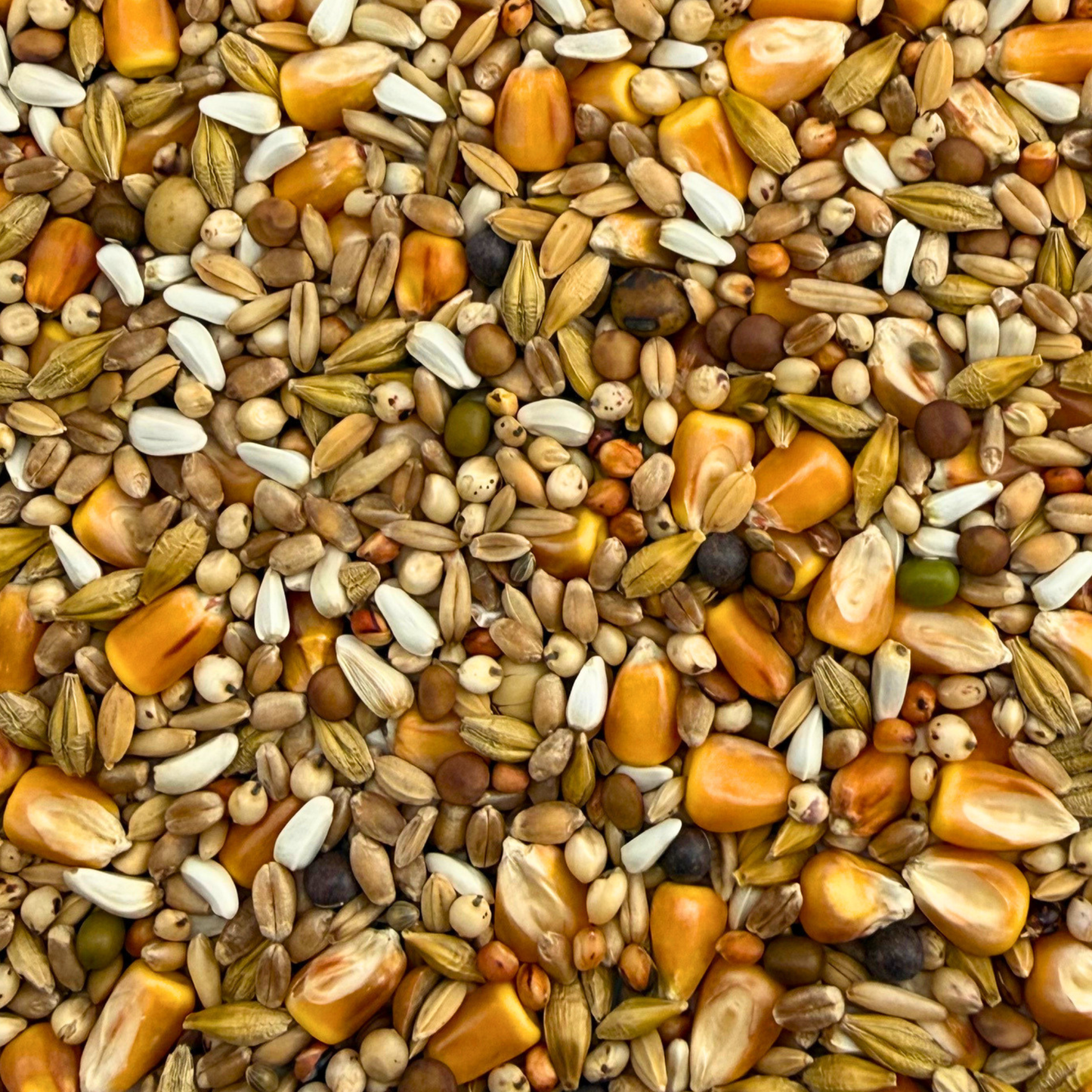 Youngster Foundation Mixture