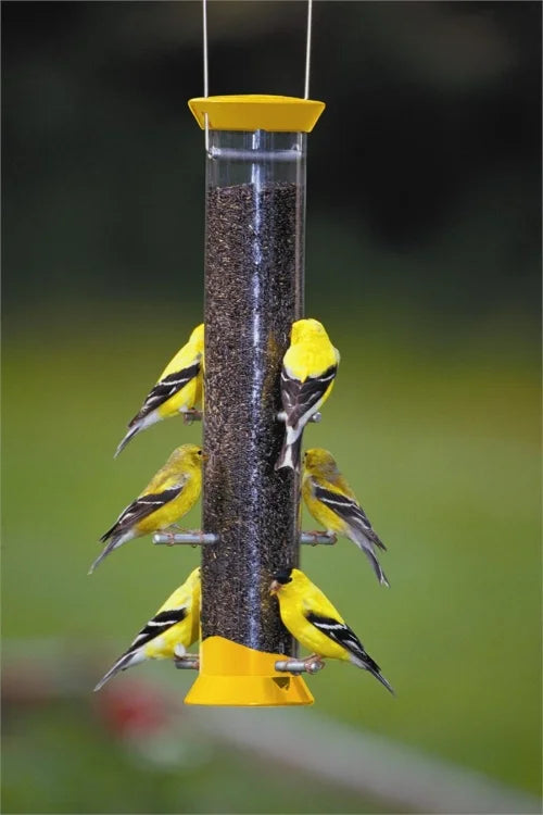 Droll Yankees NEW GENERATION® Finch Flocker
