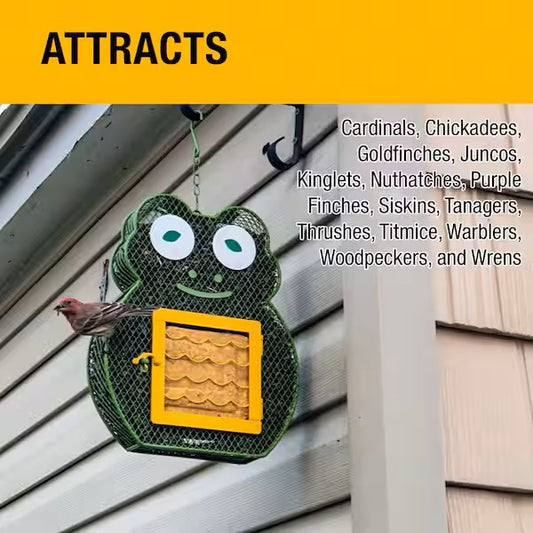 Heath Whimsical Frog Suet 'n Seed Bird Feeder for Suet Cakes and Sunflower Seeds