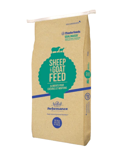 Masterfeeds 18% Lamb Starter/Grower Ration (Mini-Pellet) For Young Lambs - 25kg