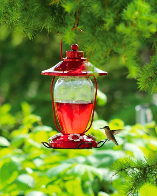 Pinebush Lantern Styled Glass Hummingbird Feeder