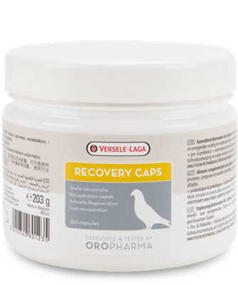 Versele-Laga Recovery Caps