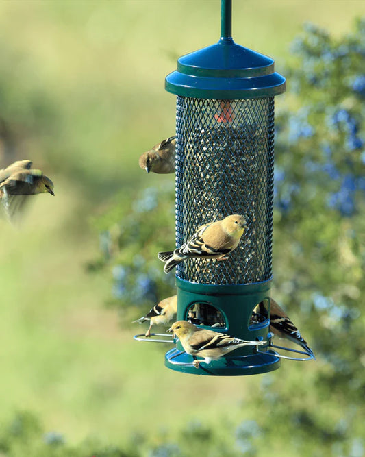 Squirrel Buster® Legacy