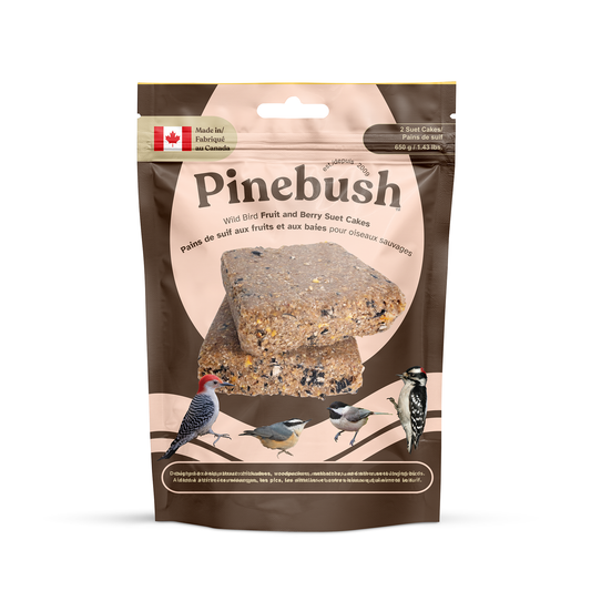 Wild Bird Fruit and Berry Suet Cakes - 2 Pack