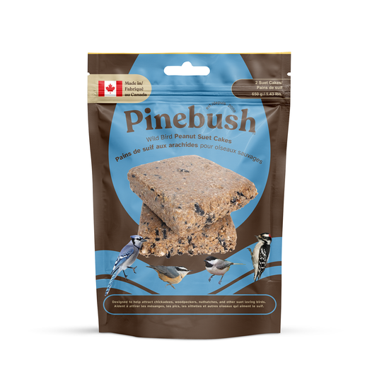 Wild Bird Peanut Suet Cakes - 2 Pack