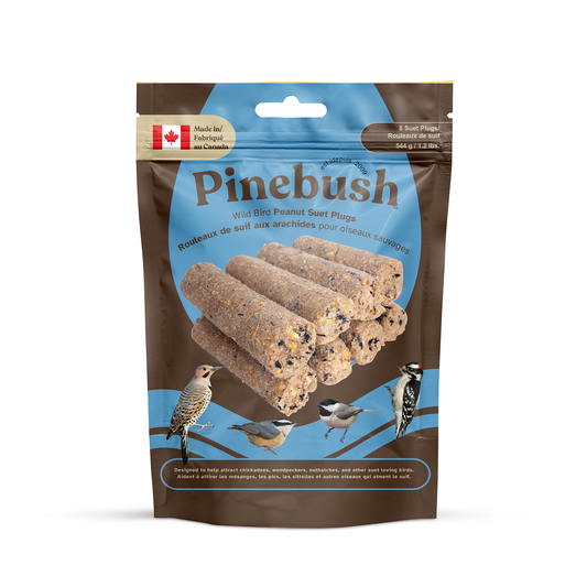 Wild Bird Peanut Suet Plugs - 8 Suet Plugs