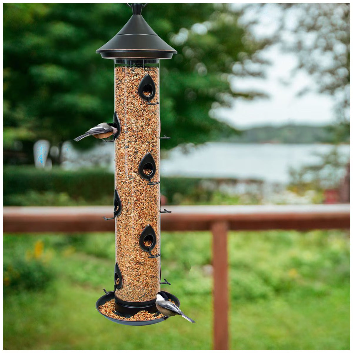 Bird Feeders