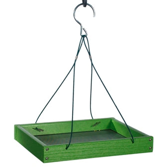 Going Green Tray
