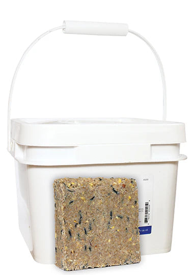 Seed Suet Cakes - Tub of 20