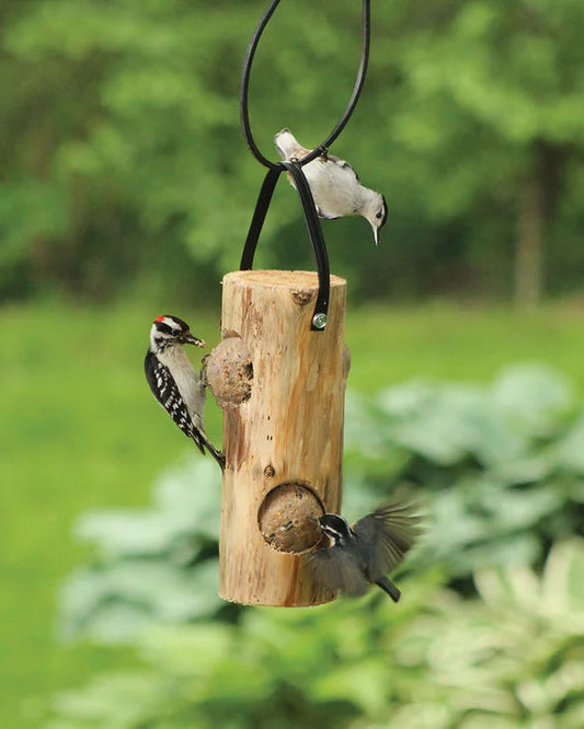 Cedar Suet Log With Suet