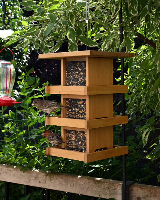 Condo Style Bird Feeder