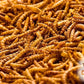 Chubby Mealworms - Dried