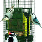 Squirrel Buster® Suet