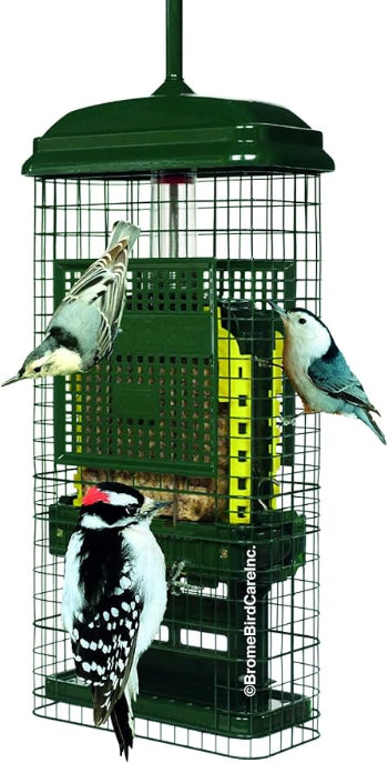 Squirrel Buster® Suet