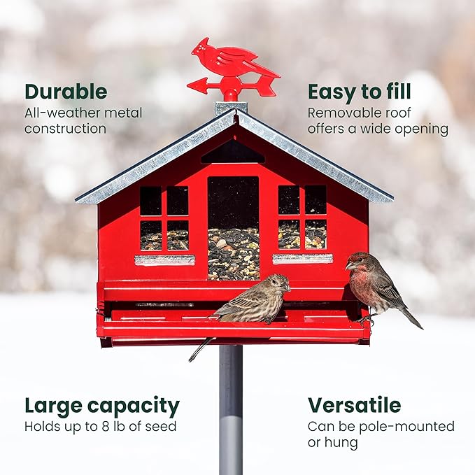 Perky-Pet Squirrel Be Gone Country House with Weathervane
