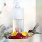 Perky-Pet 8-Ounce Window Mount Hummingbird Feeder