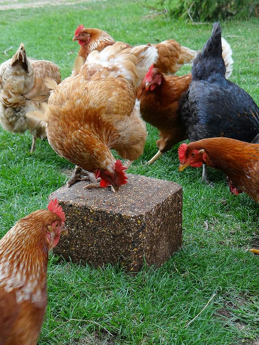 ChikPek - 25lb Block