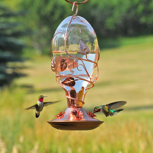 Perky-Pet Looking Glass Hummingbird Feeder - 32 oz