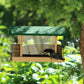 Hopper Feeder with Suet Cage