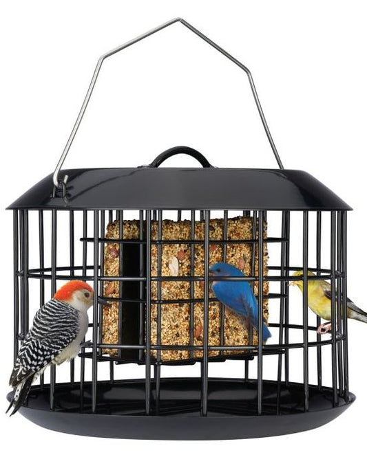 Metal Caged Suet Feeder