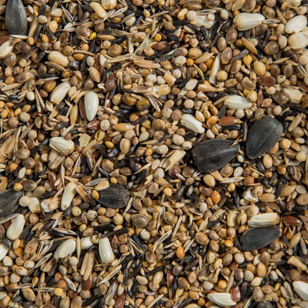 Euro Gold Finch Mixture